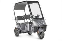 Электротрицикл Wanshida NIPLA 500 60V 1000Вт