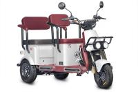 Электротрицикл Wanshida U1-X 60V 800Вт