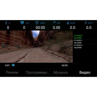 Беговая дорожка Ammity Valentina VTM 5120 TFT