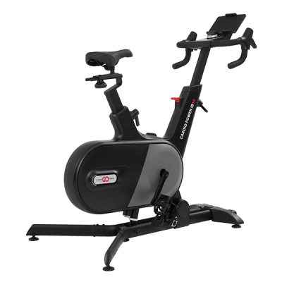 Вертикальный велотренажер CardioPower IB50