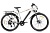 Электровелосипед Gelbert Ran Star 2 PRO