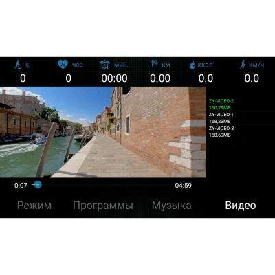 Беговая дорожка Ammity Valentina VTM 5120 TFT
