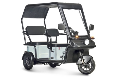 Электротрицикл Wanshida NIPLA 570 60V 1000Вт