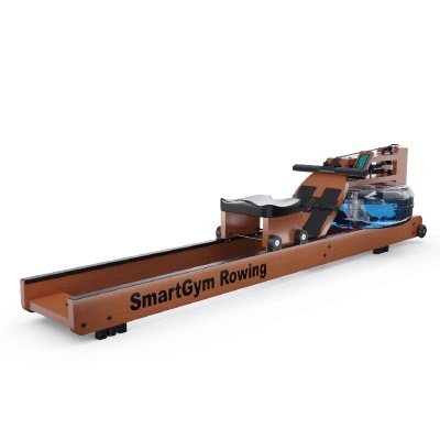 Водный гребной тренажер DFC SmartGym WR-S1